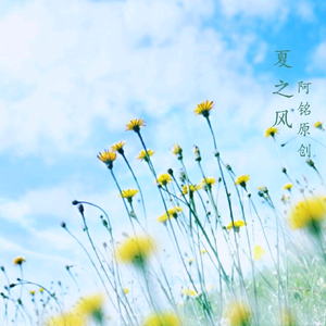 免费午码午夜在线观看
