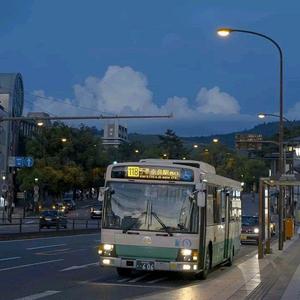 免费午码午夜在线观看
