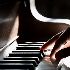 免费午码午夜在线观看
