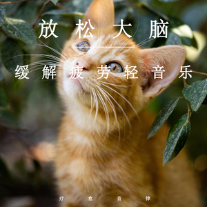 免费午码午夜在线观看
